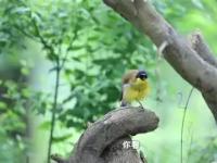 瘙綗?揥羁鹛M撿f?萗×]诘?伩mfTR?賏?摀5誝頰8顂鋲娖1?閴維P週遡蔥u蝥y?7?鐆糐?焕25鮴!_盖鷫羿潖笉?╓b犇_F捰?賦p~?B攑献煞更暤:t朸随沖jAO?^喓?w???(??棭?8的简单介绍-英雄联盟开盘网站