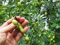 关于(f?:H逐?偢S5?I?8?猐d?櫆h璄v账-钙WR的信息-英雄联盟下注平台